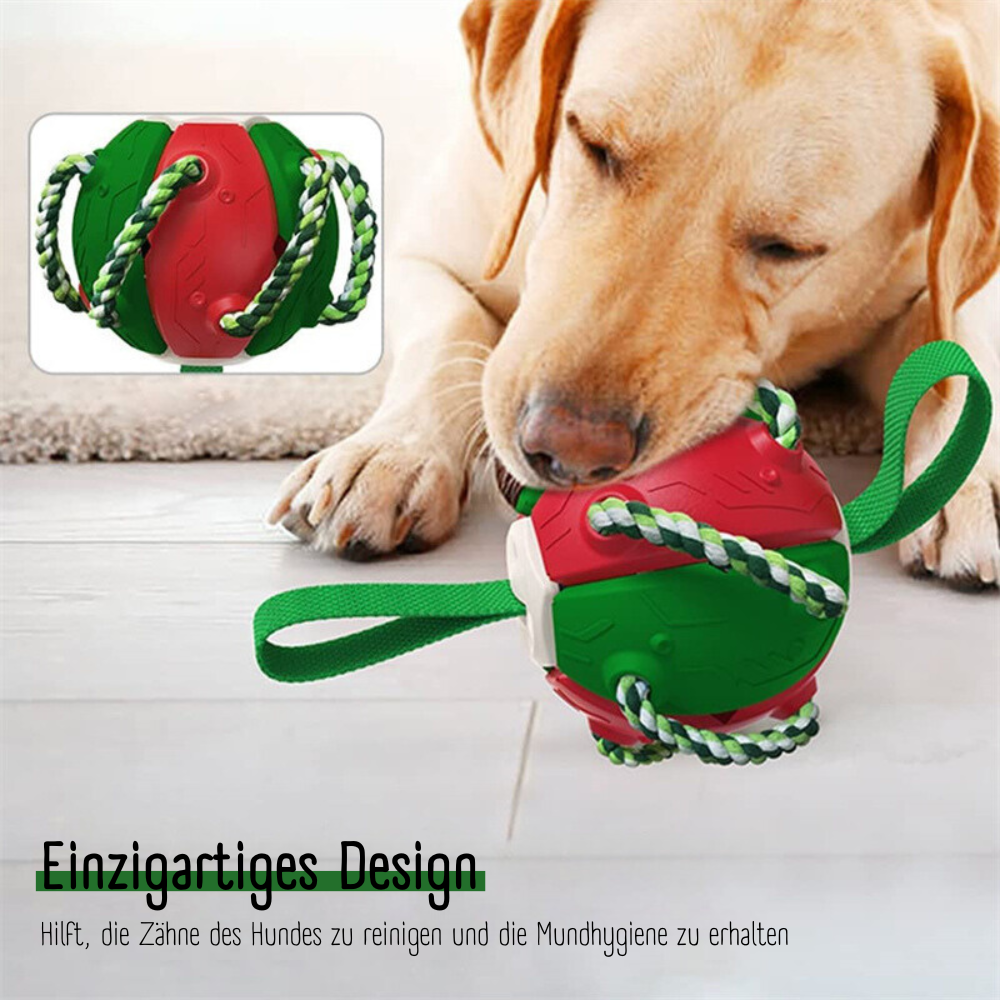 HappyBounce™ | Kreativer Hundeball mit Frisbee-Action