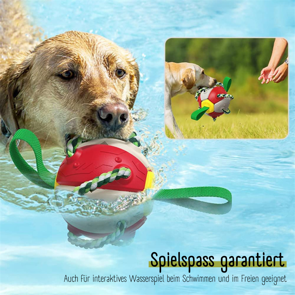 HappyBounce™ | Kreativer Hundeball mit Frisbee-Action